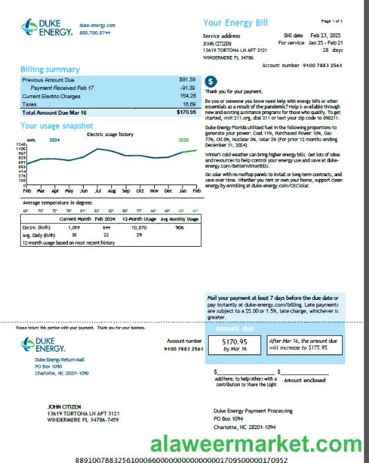 USA Duke Energy utility bill template in Word and PDF formats, version 5